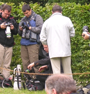Nachlese der Fotografen Nachlese der Fotografen