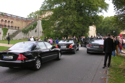 Nach dem Kirschbaumpflanzen auf der Maulbeerallee in Potsdam