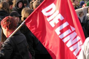 Fahne DIE LINKE bei Demo in Potsdam