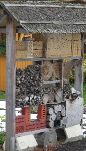 Insektenhotel in einer Kleingartenanlage in Potsdam