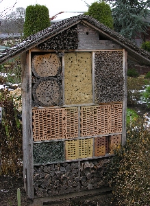 Insektenhotel in der gleichen Kleingartenanlage