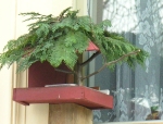 060108-Futterhaus50
