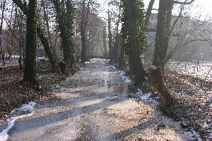 Der zugefrorene Schafgraben