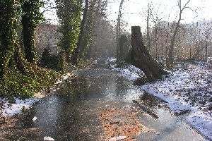 Kahlschlag am Schafgraben