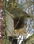 NIstkasten - zerlegt1