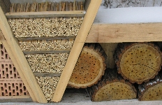 Detailansicht am Insektenhotel