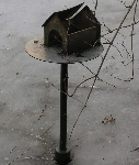 060324NK  Desolates Vogelfutterhaus im Teich