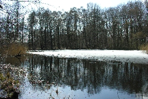 D�sterer Teich mit Eis am 3.4.2006