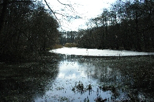 D�sterer Teich mit Eis