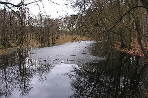 Gro�er Teich