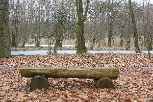 Bank am gr. Teich