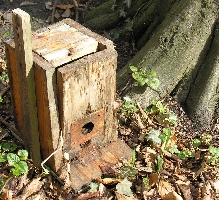 abgest&uuml;rzter Nistkasten in Sanssouci