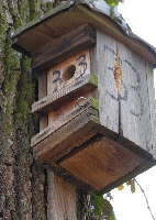 060405-051  Nistkasten mit Nummer 33