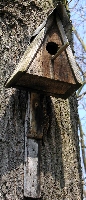 Dreieckskasten