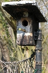 Auf dem Zaun
