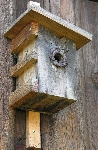 mit Drahtschutz