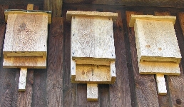 Fledermausk&auml;sten in der Wildmeisterei