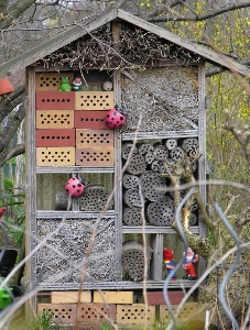Insektenhotel in Kleingartenanlage