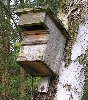 060501-050   Alter Nistkasten an den Kieskutenbergen