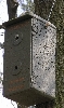 060501-103  Ein Hornissenkasten am Kieskutenberg