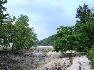 Strand bei Ebbe im S&uuml;dchinesischen Meer 