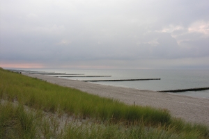 Oststrand mit Buhnen (Ostsee)