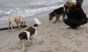 ein Hundestrand