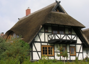 Reedhaus