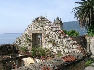 Ruine mit Mauerbl&uuml;mchen in Montenegro