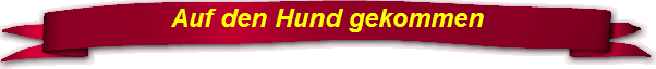 Auf den Hund gekommen