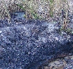 Abwasser in die Rahlau in Hamburg