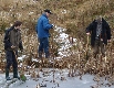 Eisvogel, Arbeit am Teich