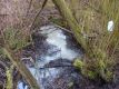 Abwasser in der Rahlau im Eisvogelrevier