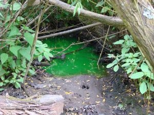 Prüfflüssigkeit an der Rahlau in Hamburg