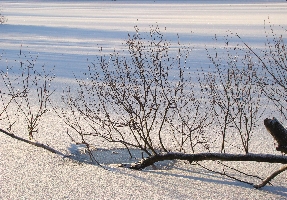 Jenfelder See im Januar 2009