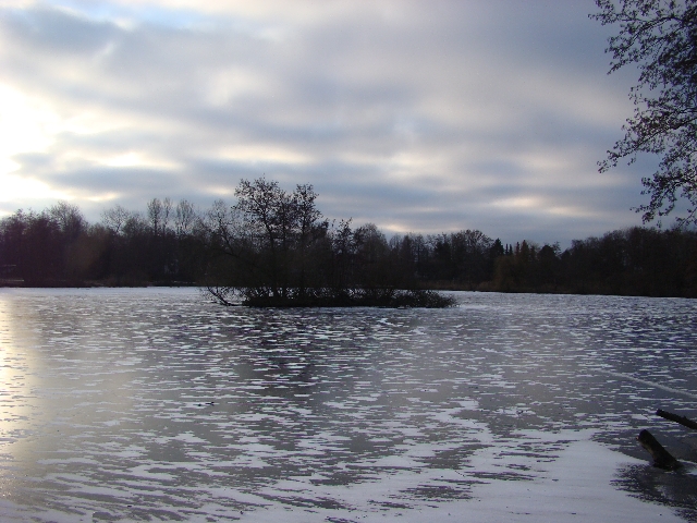 Insel im Jenfelder Moorsee in Hamburg