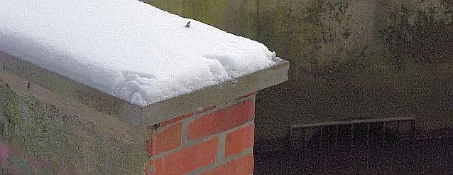Spuren des Eisvogels im Schnee auf der St&uuml;tzmauer vom Grabendurchla&szlig; durch die Jenfelder Allee