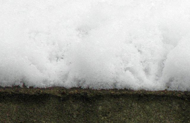 Fußabdruck des Eisvogels im Schnee