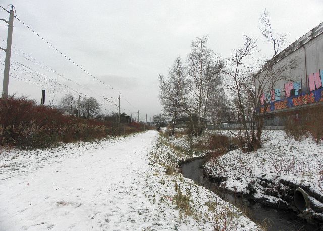 Rahlau an der Strecke Hamburg Lübeck, ein Eisvogelrevier
