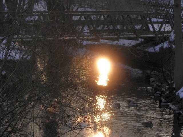 Sonnenuntergang im Eisvogelrevier