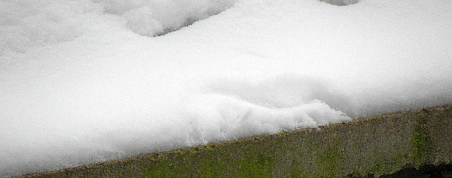 Abdruck im Schnee vom Eisvogel an der Jenfelder Allee