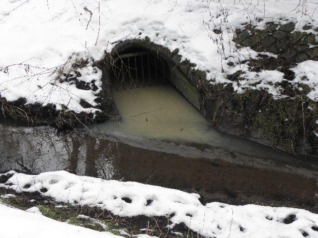 Betonit im Eisvogelrevier in der Rahlau