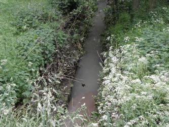 Rahlau mit Abwasser hinter der Wilsonstraße