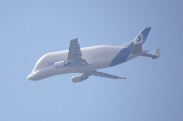 Airbus Beluga 3 &uuml;ber dem OPhlsdorfer Friedhof im Landeanflug