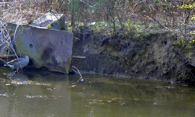 abgest&uuml;rzte Eisvogelnistwand auf dem Ohlsdorfer Friedhof in Hamburg