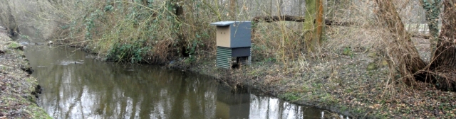 Nisthilfe Container Eisvogel