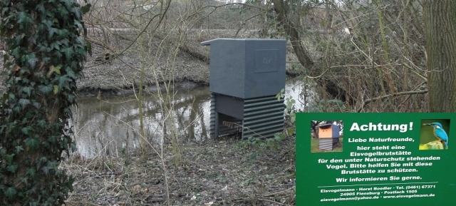 Nistcontainer Eisvogel Wandse
