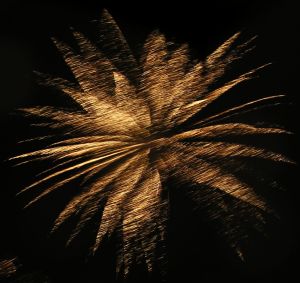 Blume, Feuerwerk zur Schl&ouml;ssernacht