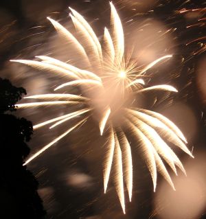 Feuerwerk der Blumen zur Schl&ouml;ssernacht