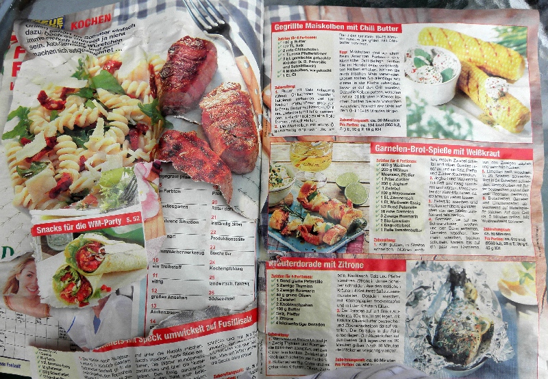 M&ouml;we will Nudelgericht aus einer Zeitschrift fressen